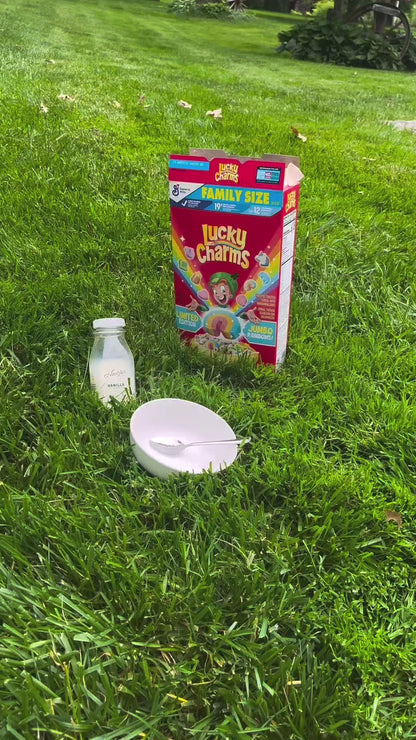 Lucky Charms – Epoxy 3D Art Broken Cereal Bowl
